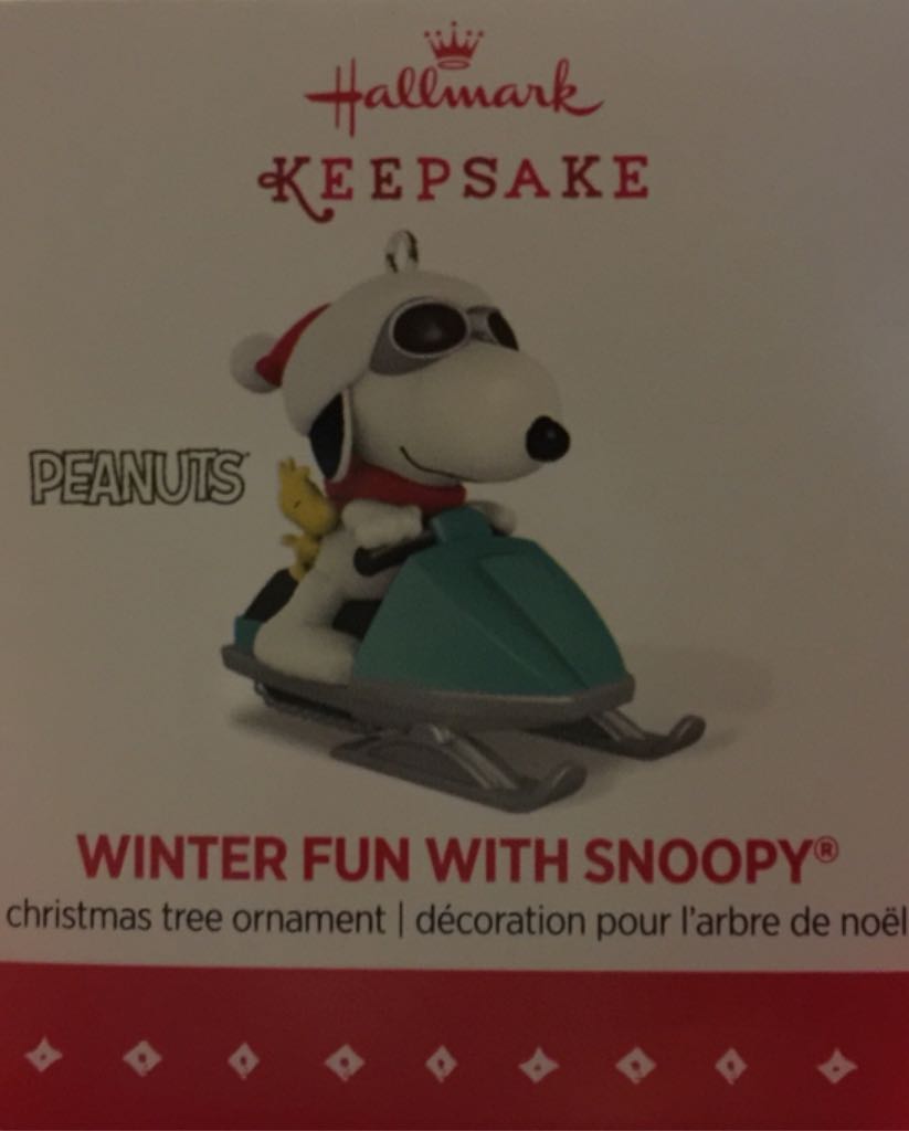 Swim Suit Black cover up