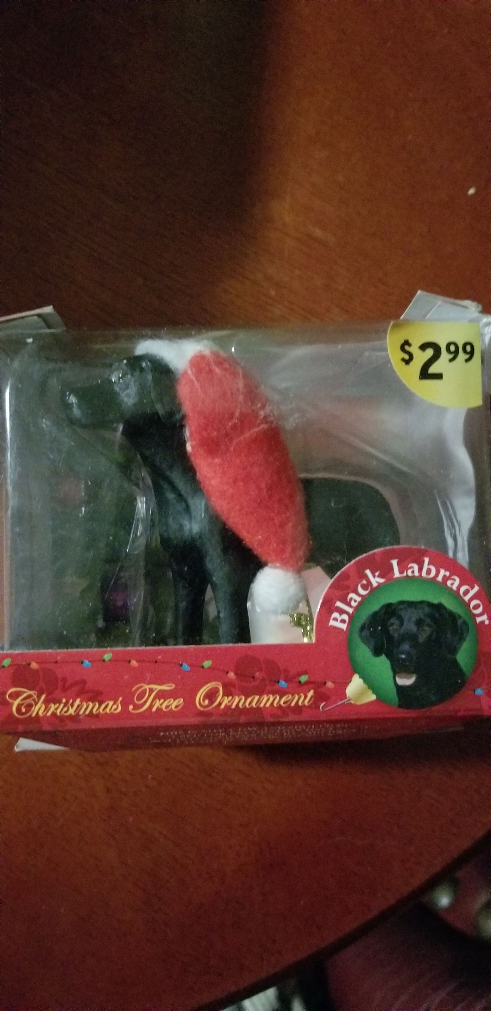 Image 7695