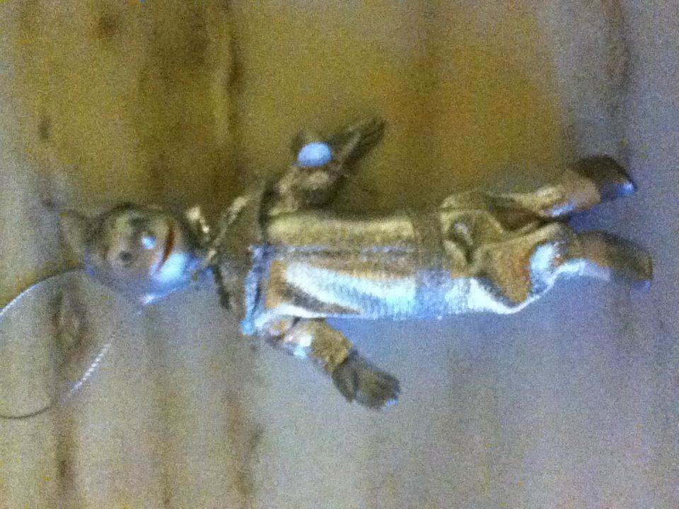 Star Wars:  Master Yoda & Captain Rex