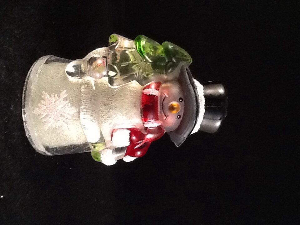 Multicolored Lights with Remote (4)