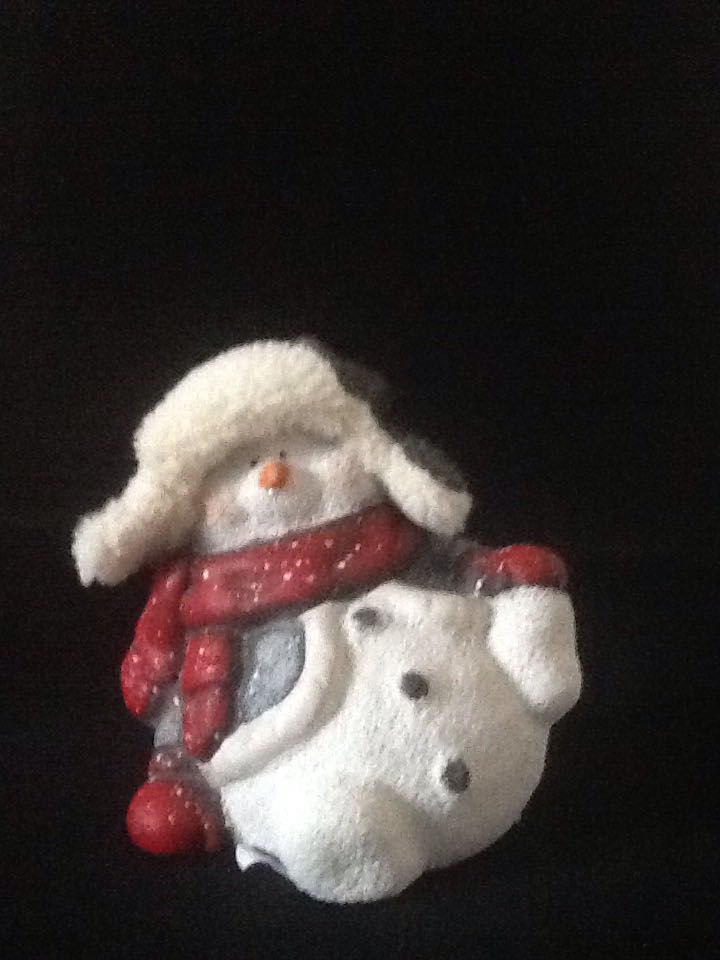 Mary’s Angels 28 - Holly