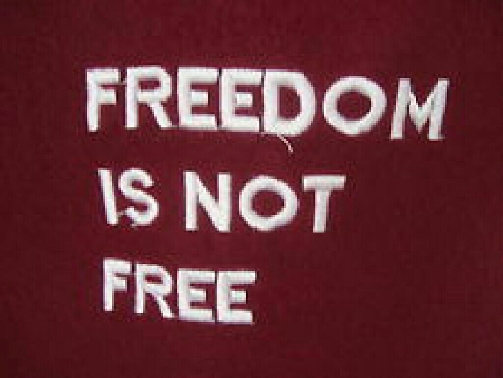 Freedom is not Free (Blue throw)  (Fleece Throws) ornament collectible - Main Image 1