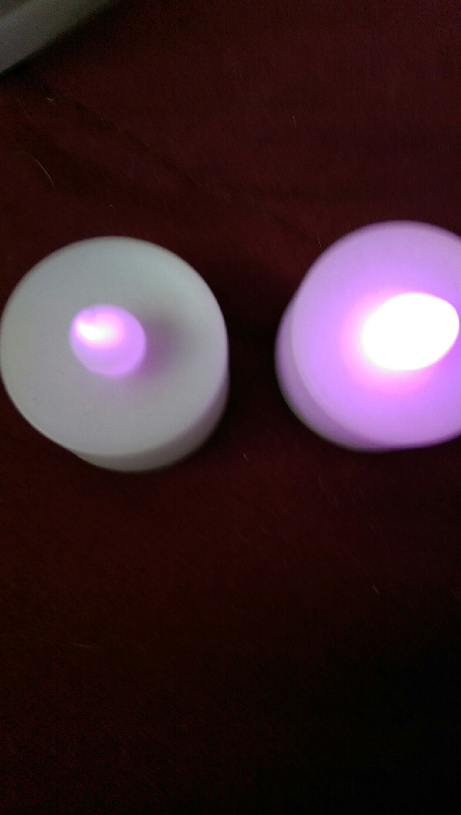 Sneeuwbaby Met Dichte Oren