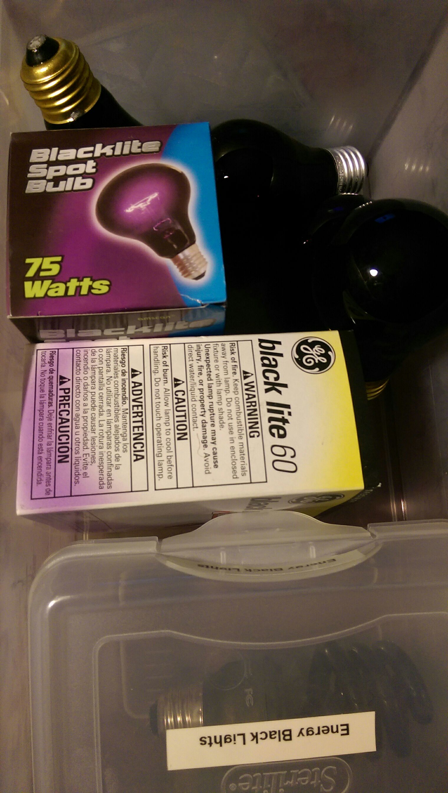 Stainless Steel Earrings