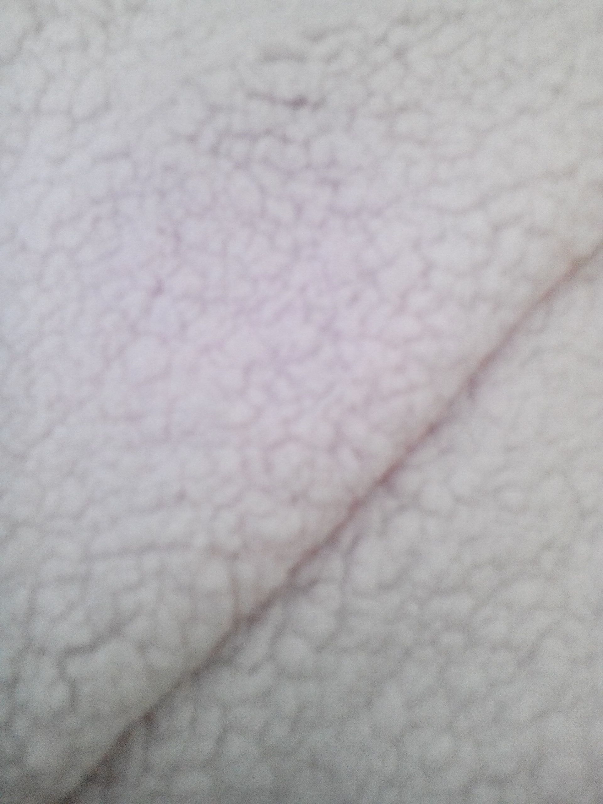 Holiday Christmas plus White fluffy throw blanket (2)  (Fleece Throws) ornament collectible - Main Image 2