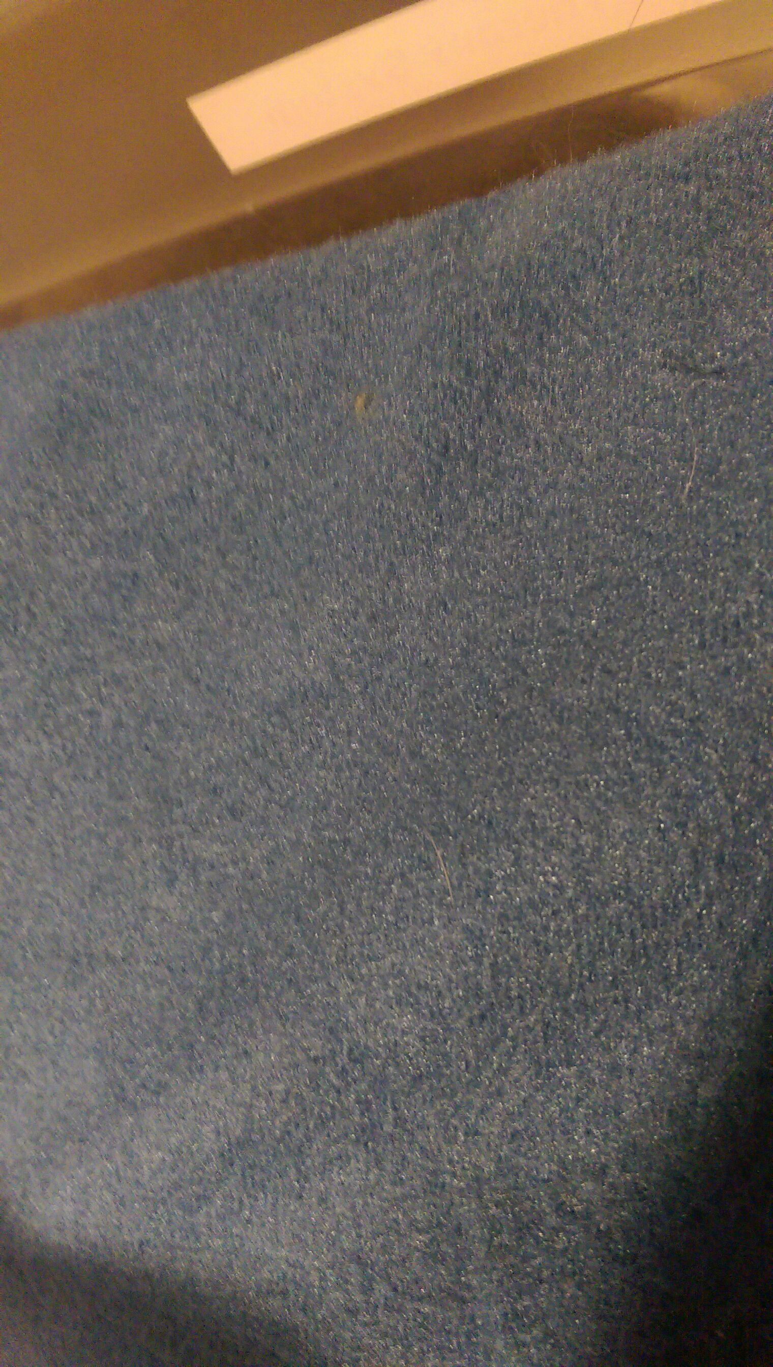 Rugrats - Angelica Pickles