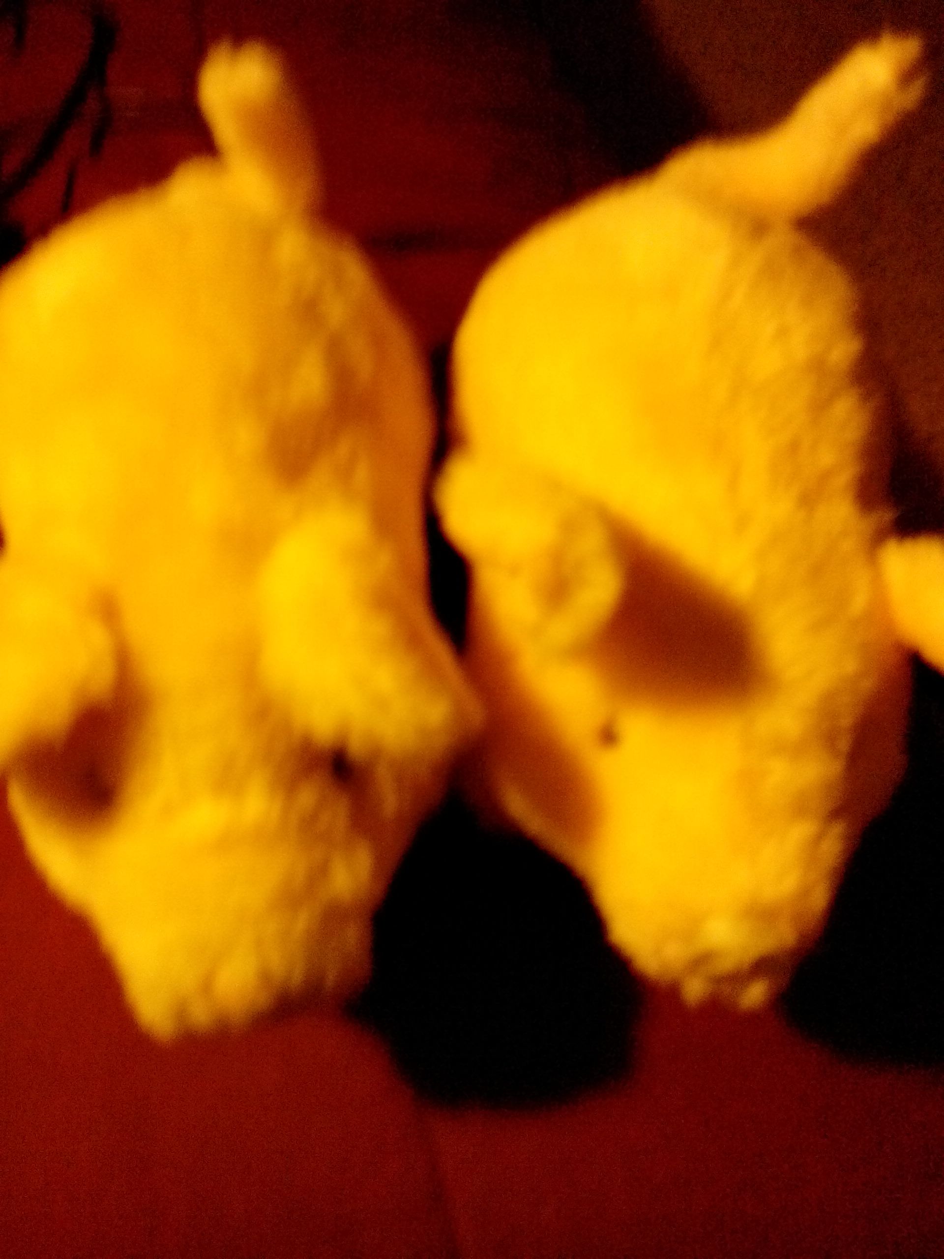 Image 9608