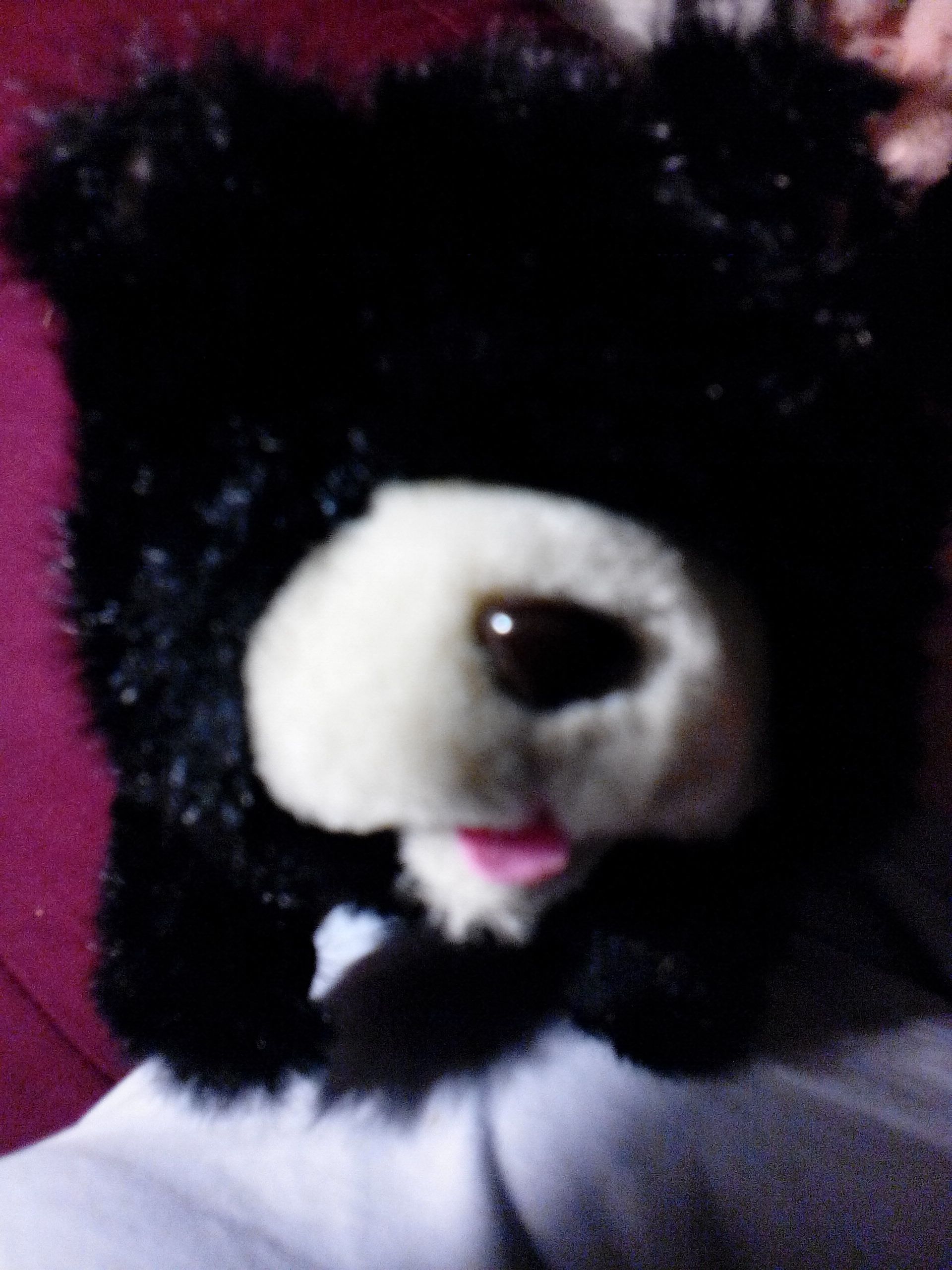 Black Bear  (Battery operated stuffed animal) ornament collectible - Main Image 2