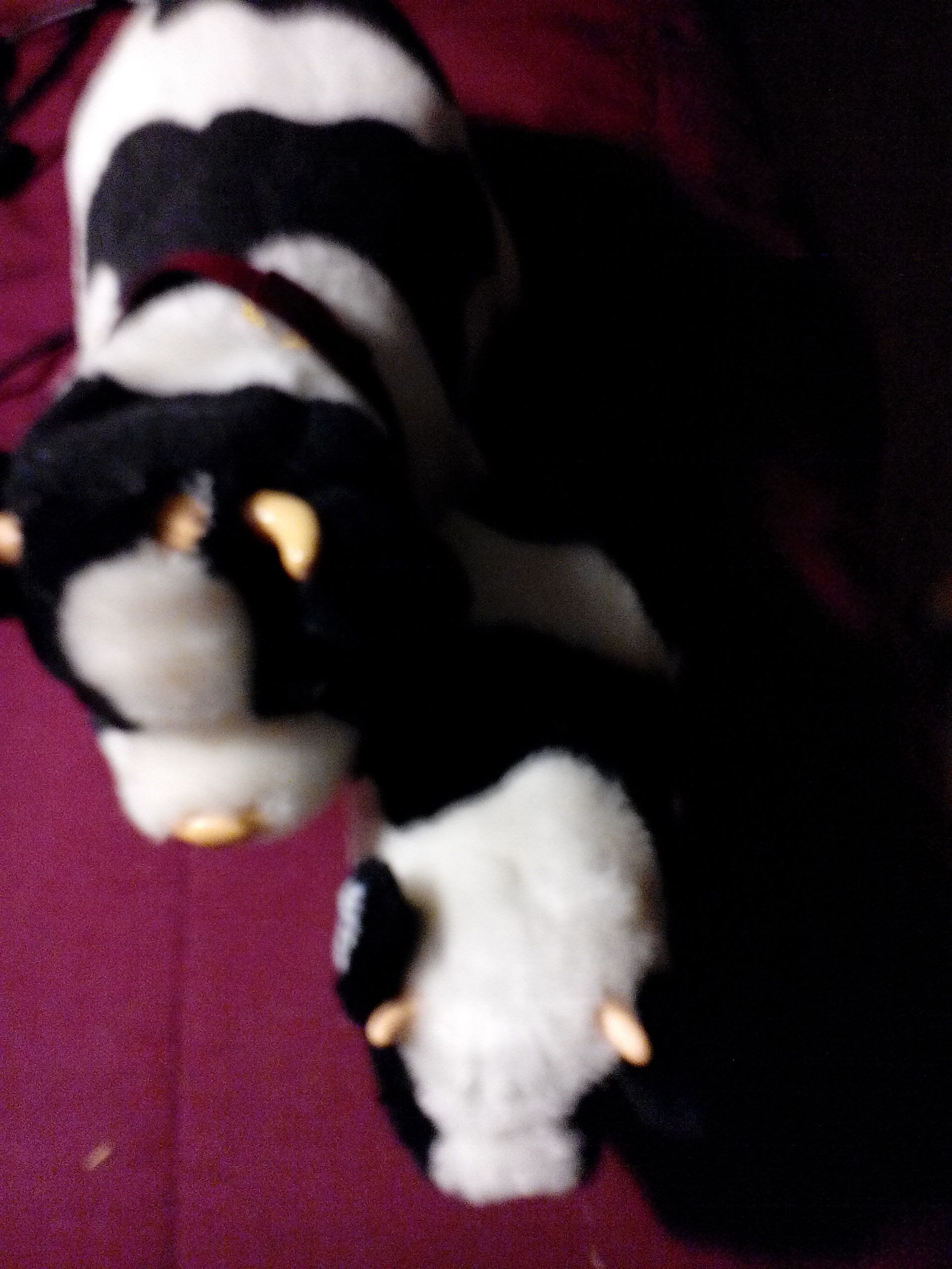 Pocket Screwdriver and bits