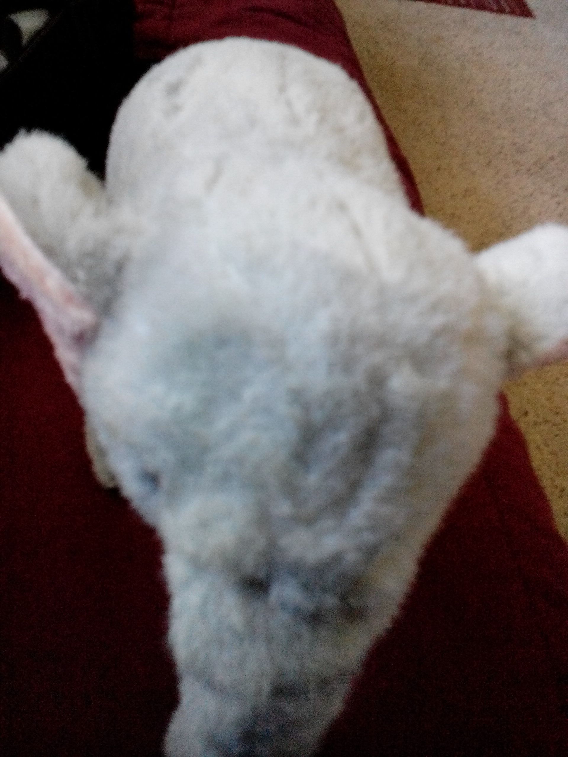 Jim Shore Russia Santa