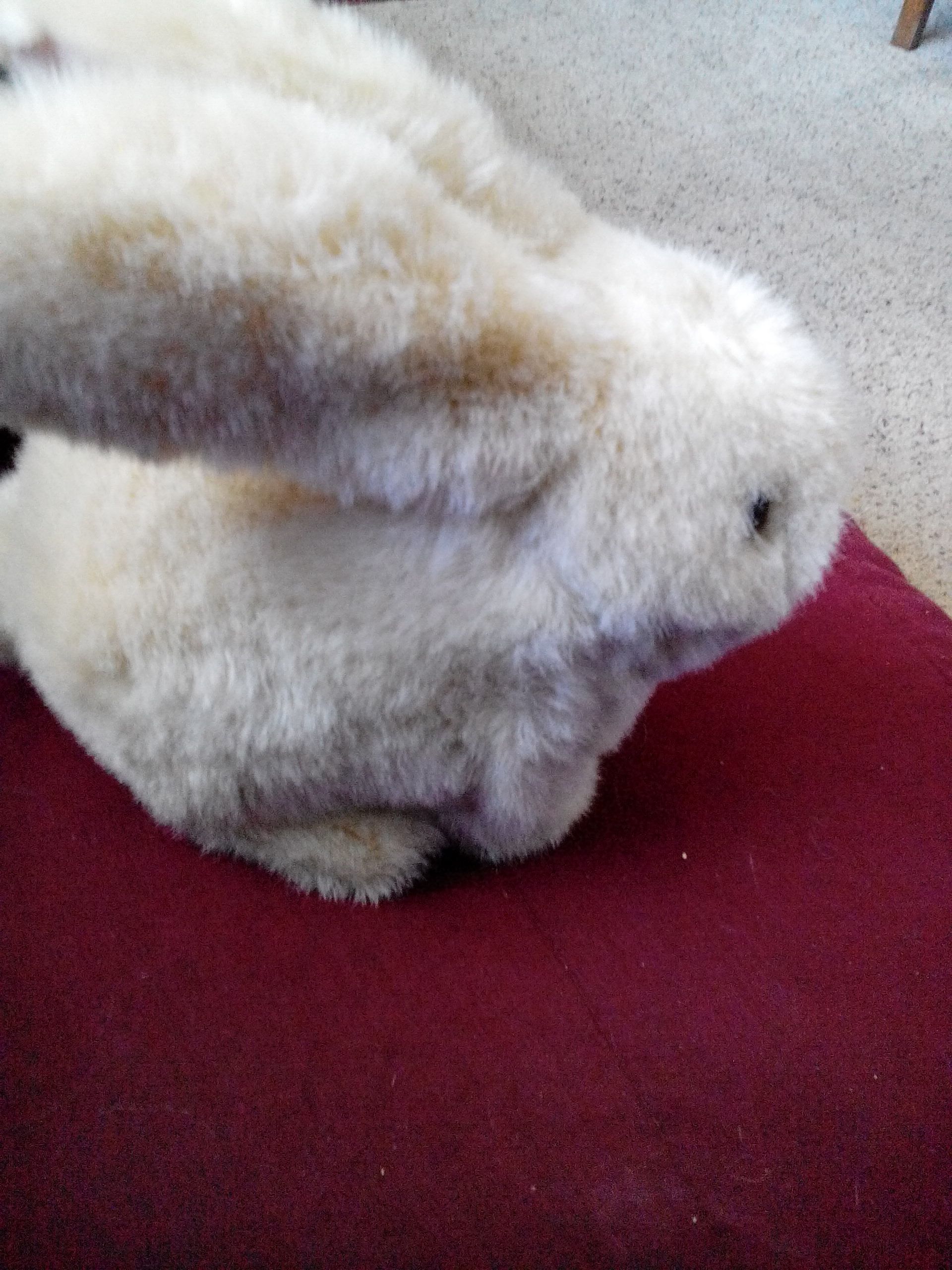 Image 9614