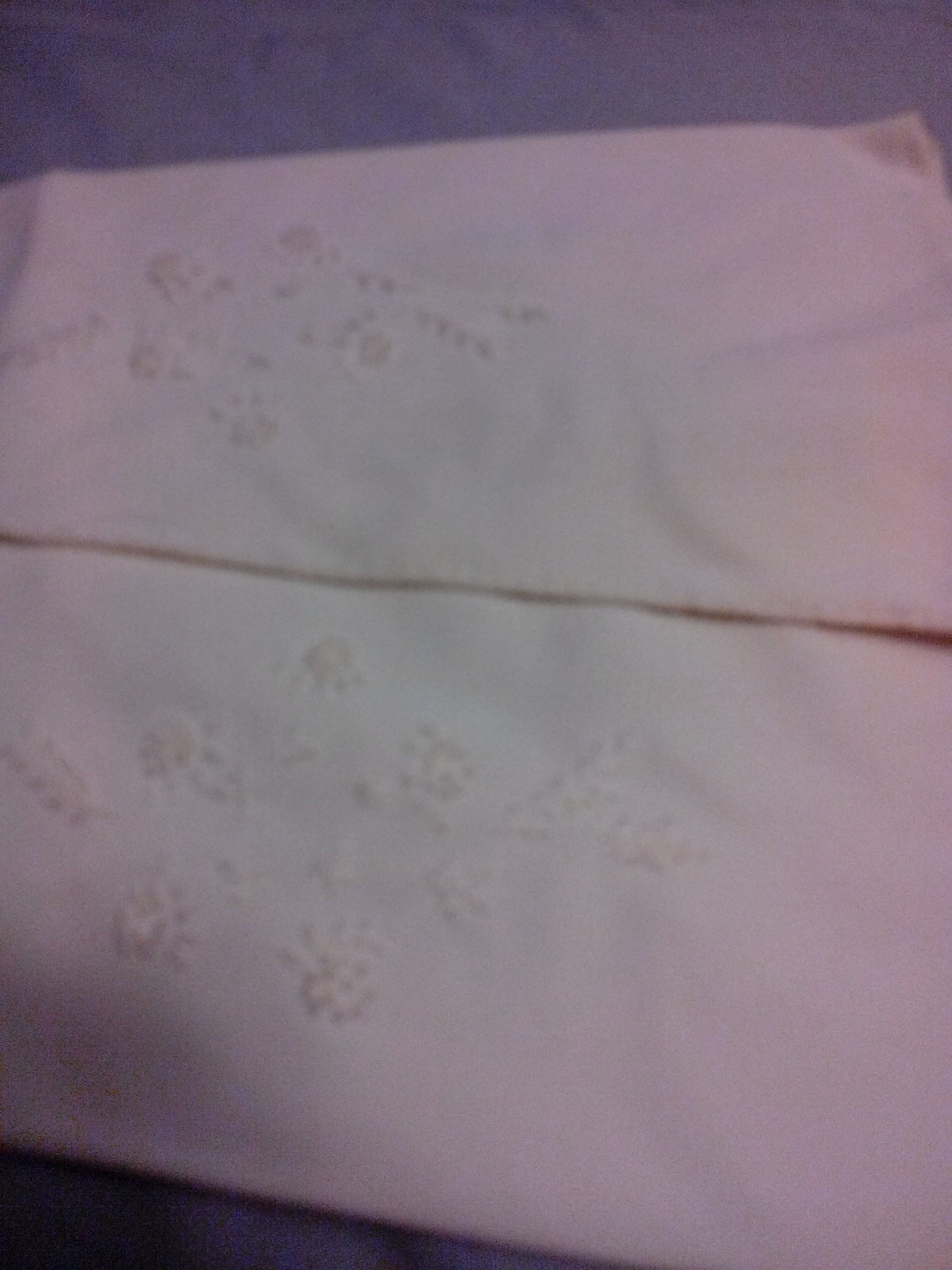 Off White Gloves  (Halloween Costume) ornament collectible - Main Image 2