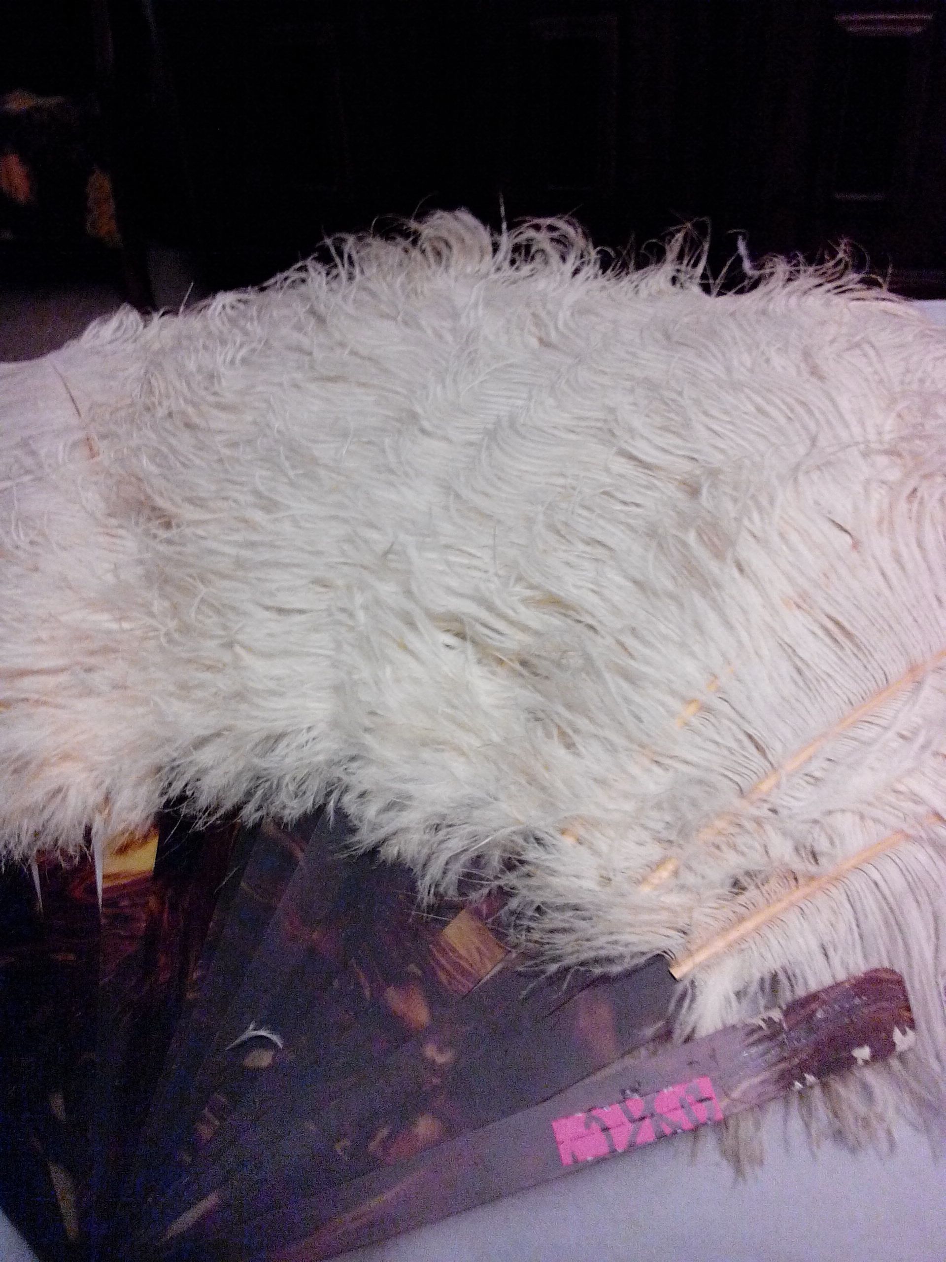 Venetian Treasure Egg