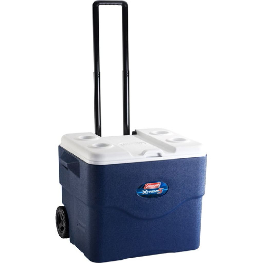 300 multi Christmas lights