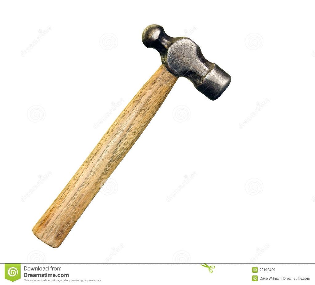 Little Husky - Miniature