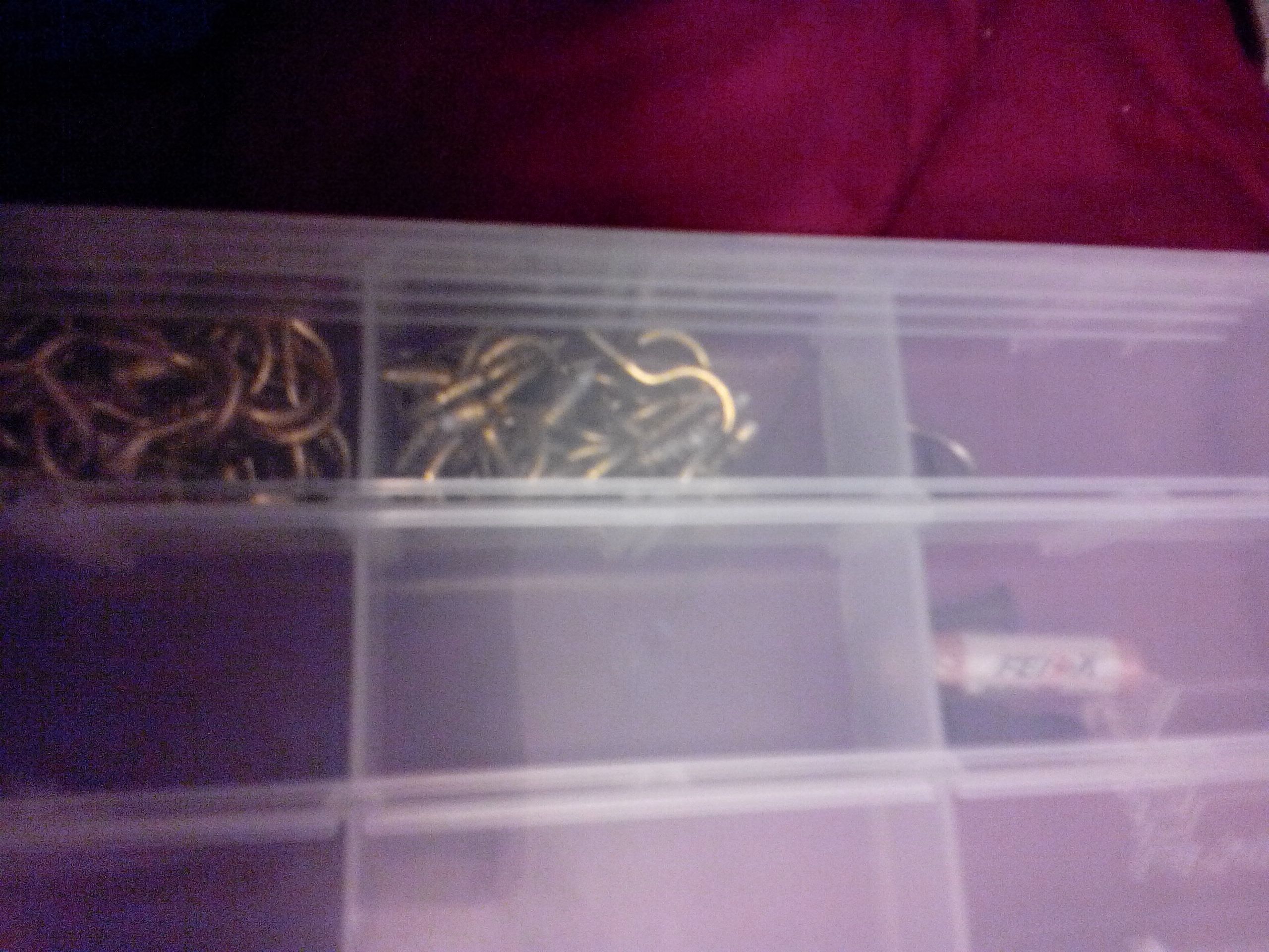 Santa’s Christmas Train