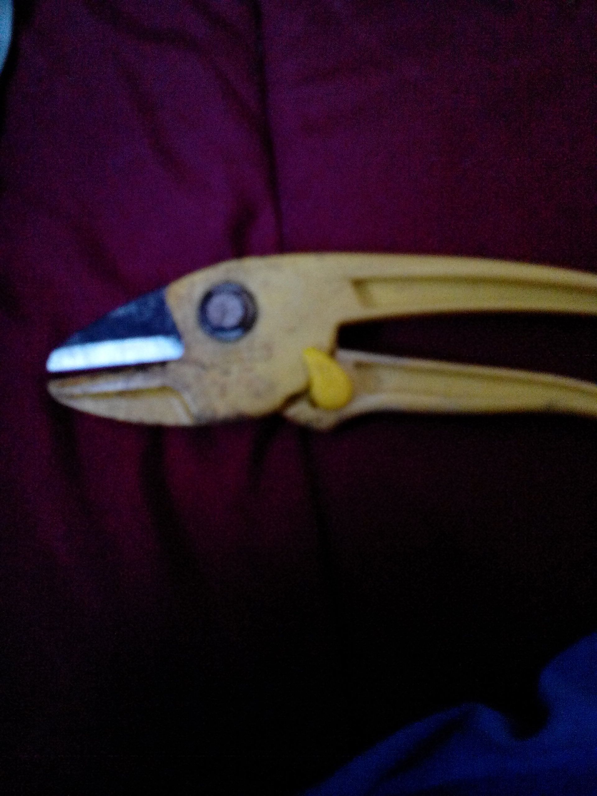 Redwood National And State Parks