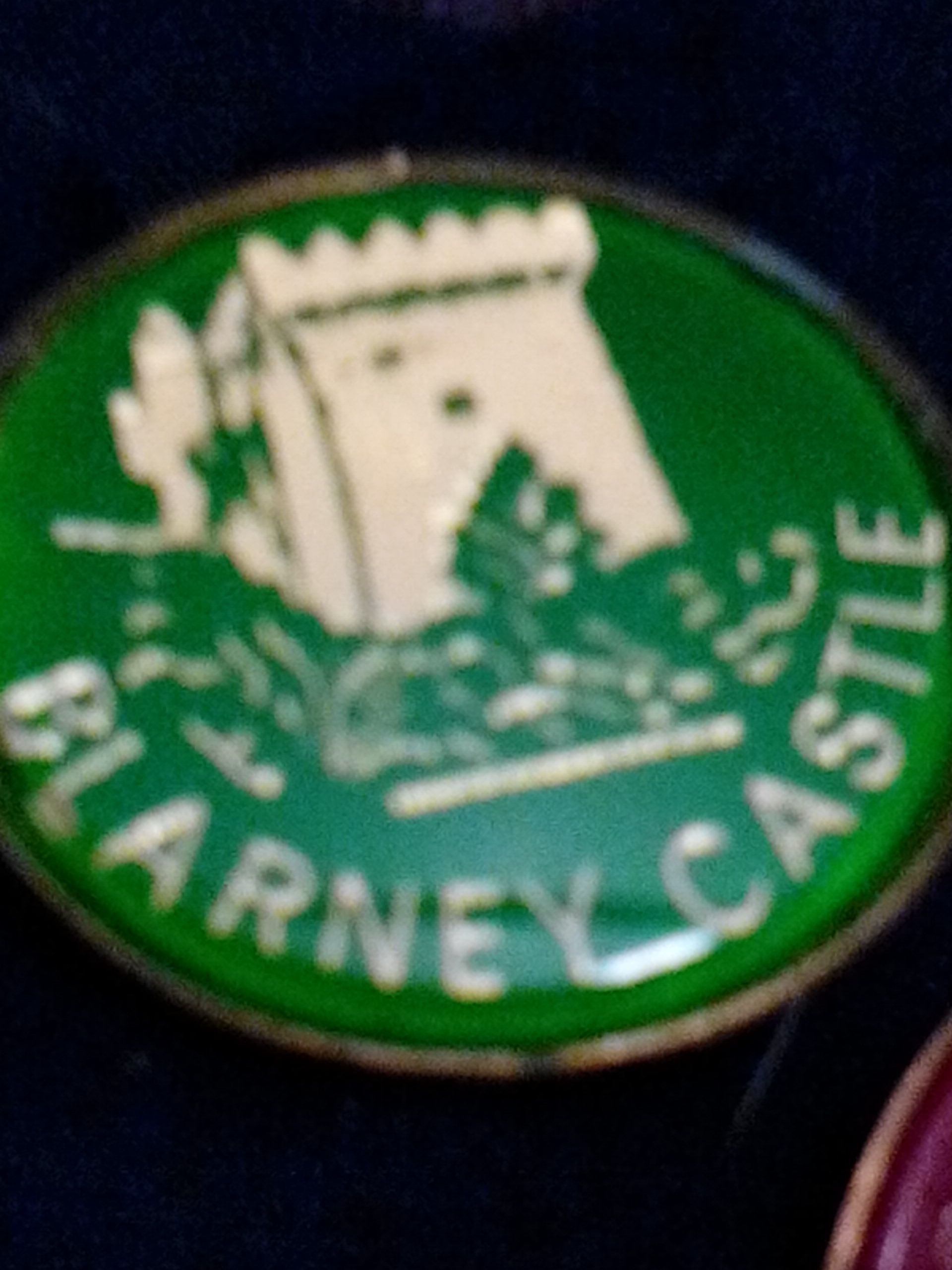 Flowered with Black background Fan