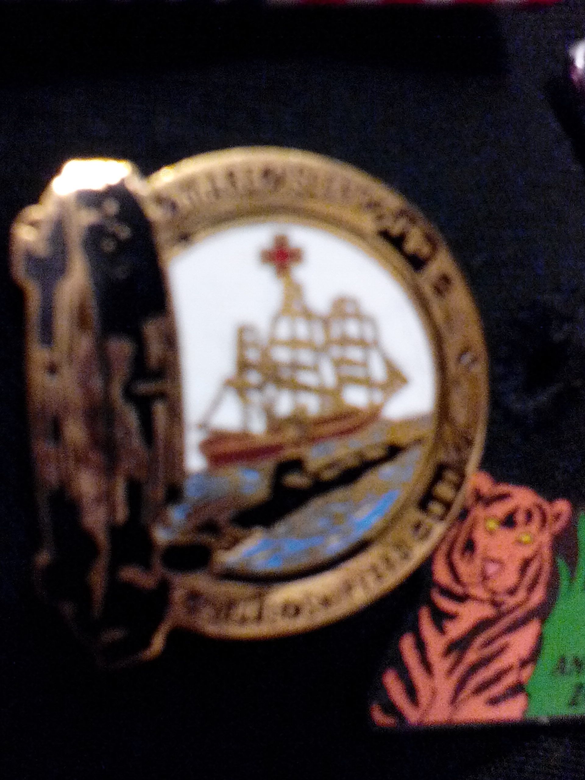 Disney Sketchbook Sally