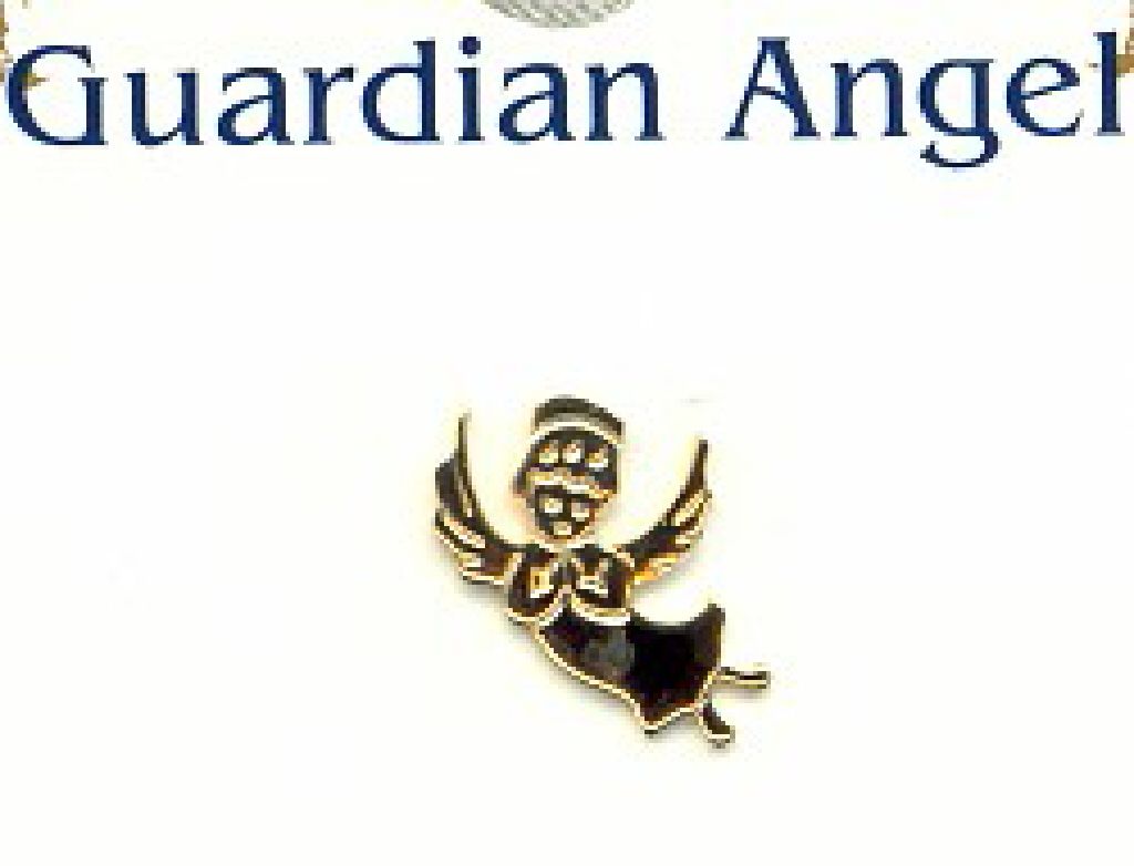 Scottie In Dog House