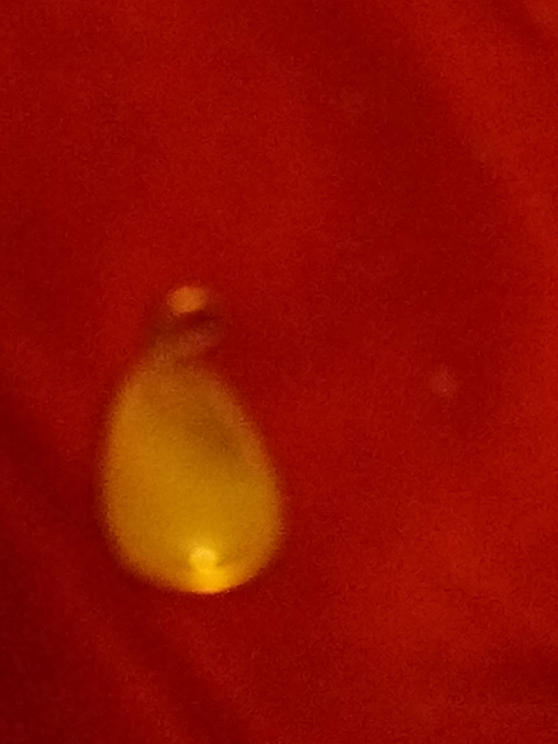 Family Living Room - Santa’s Big Night (KOC Club)