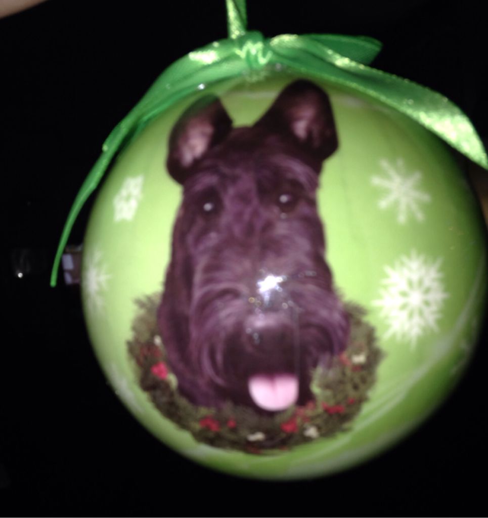 Alvin And The Chipmunks - Theodore