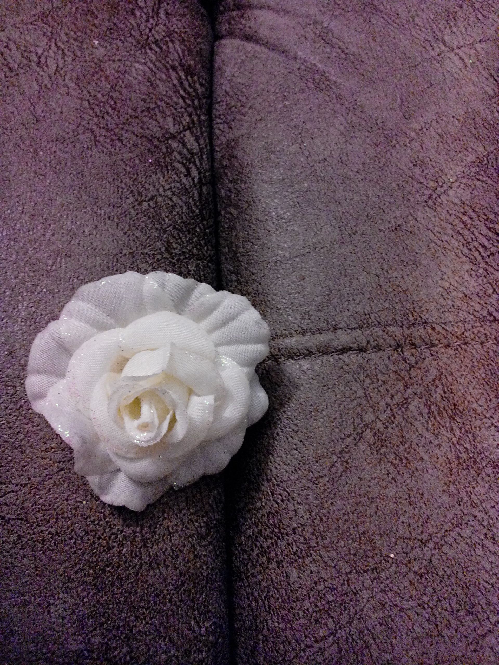 Standard pillow Case Protector