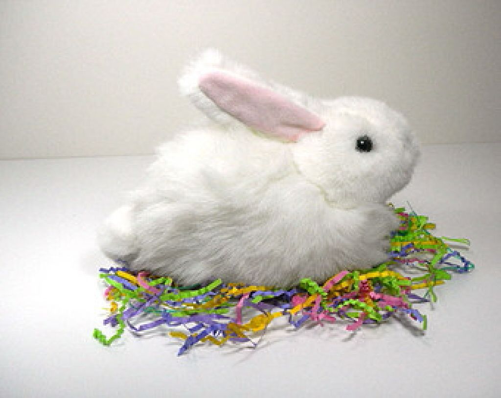 Image 10984