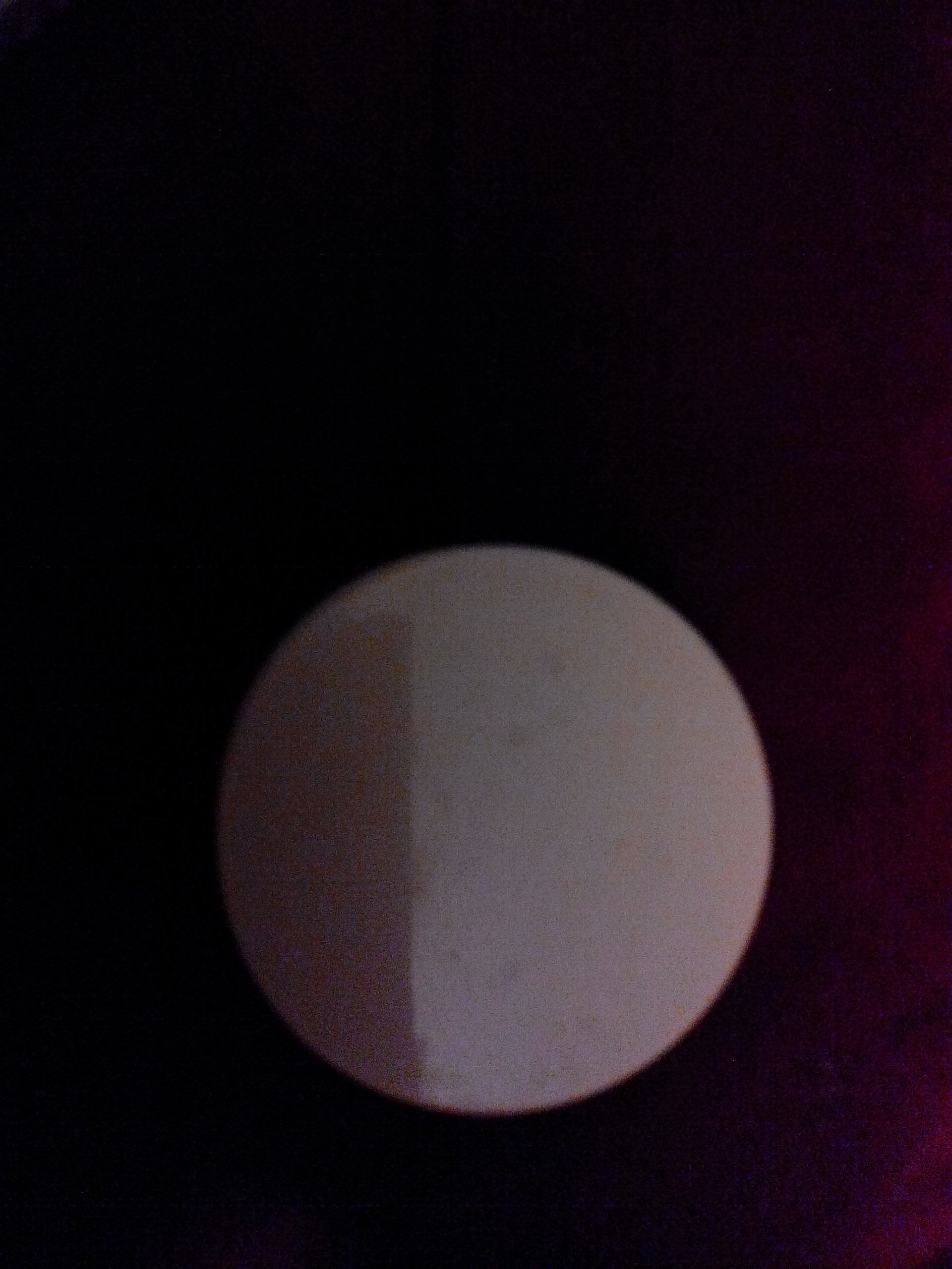 Thigh Hi Sheer Magic Whit