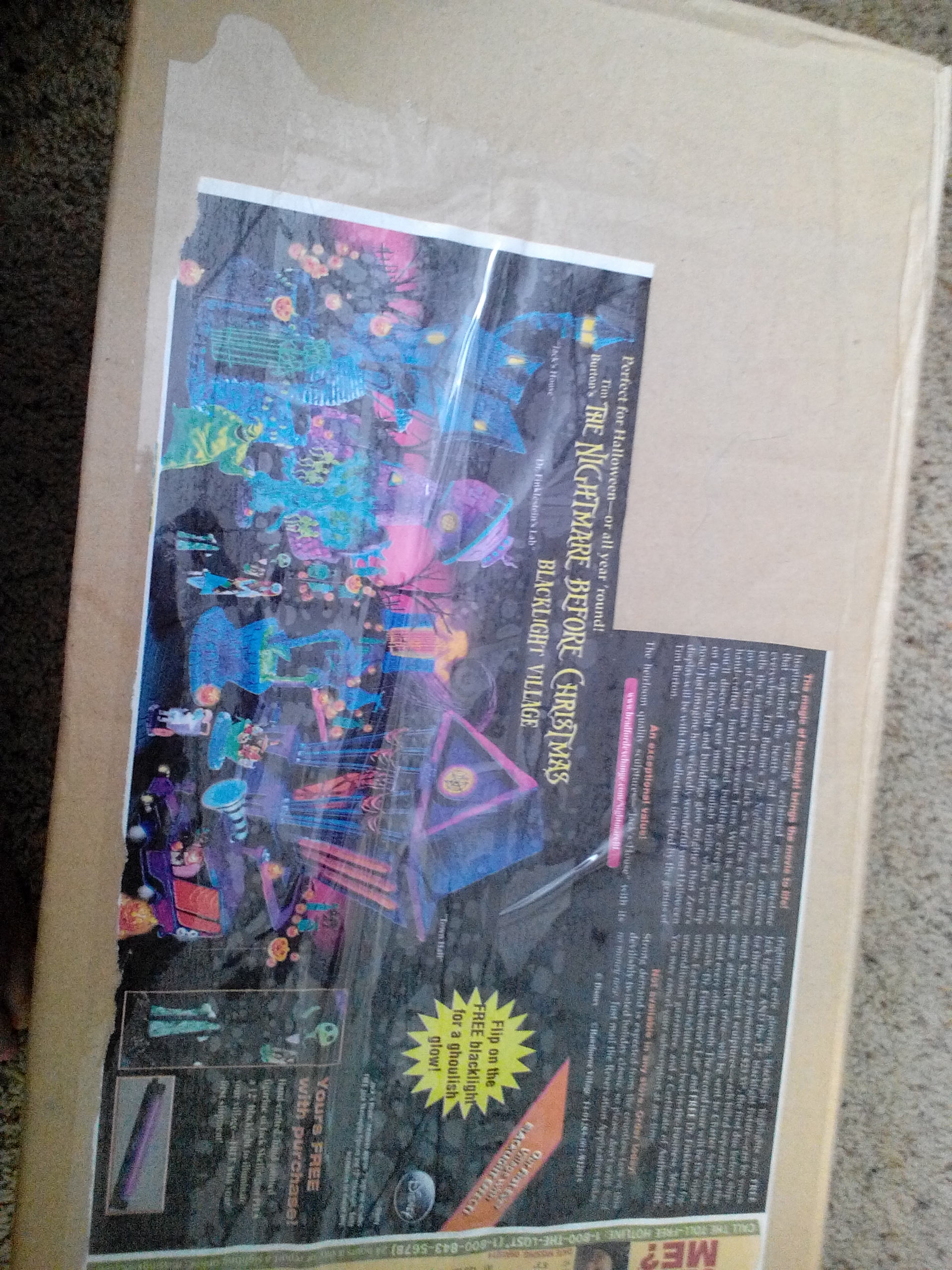 Branching Out In Style