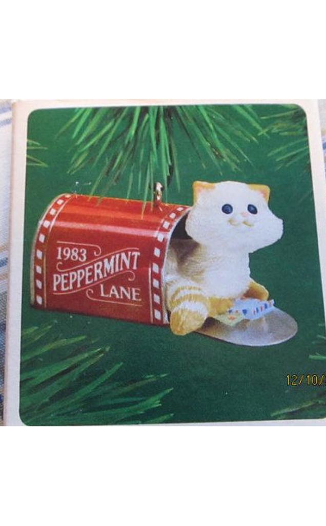 Magic Bullet Cheese Cover Lid