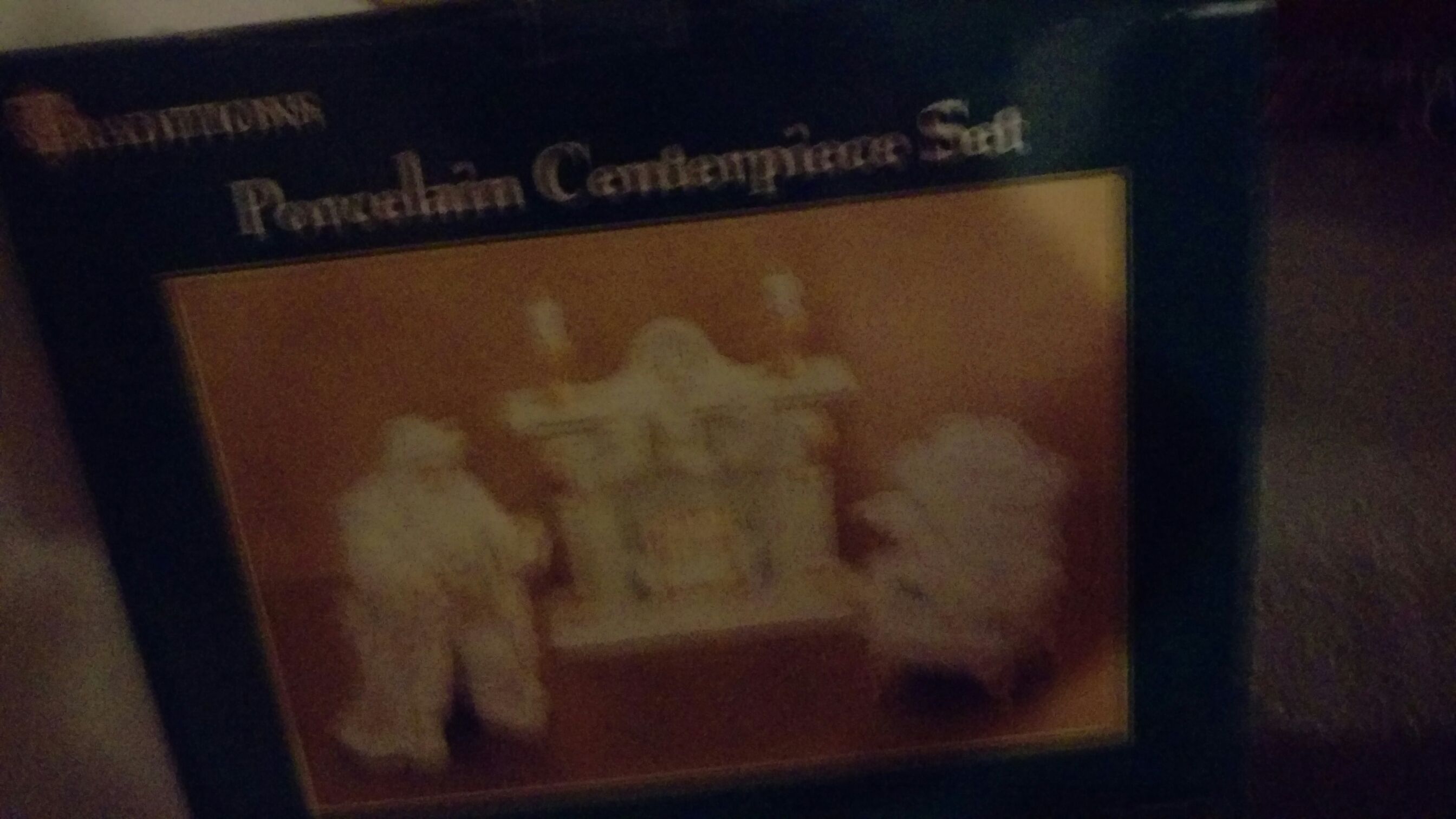 Beauty Of Birds 2013, The