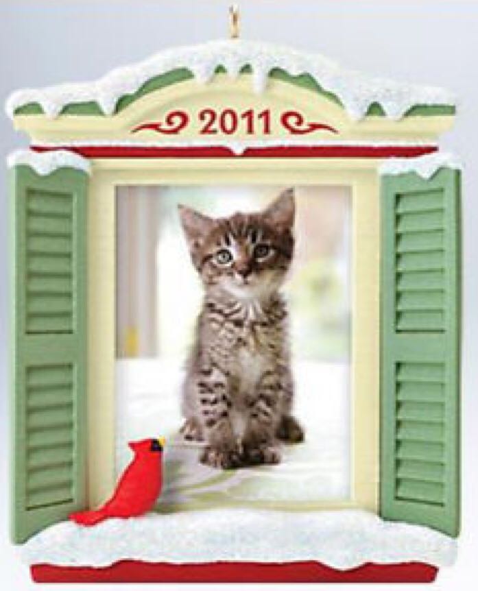 Toy Story Woody Is On A Mission