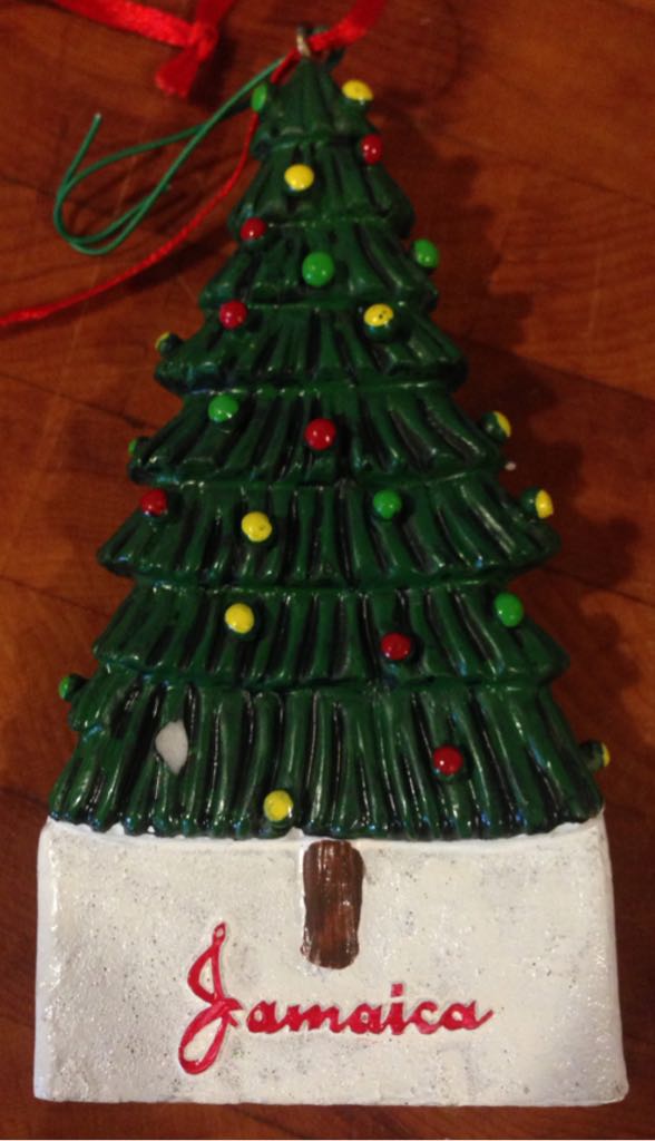 1999 Patriots Color guard