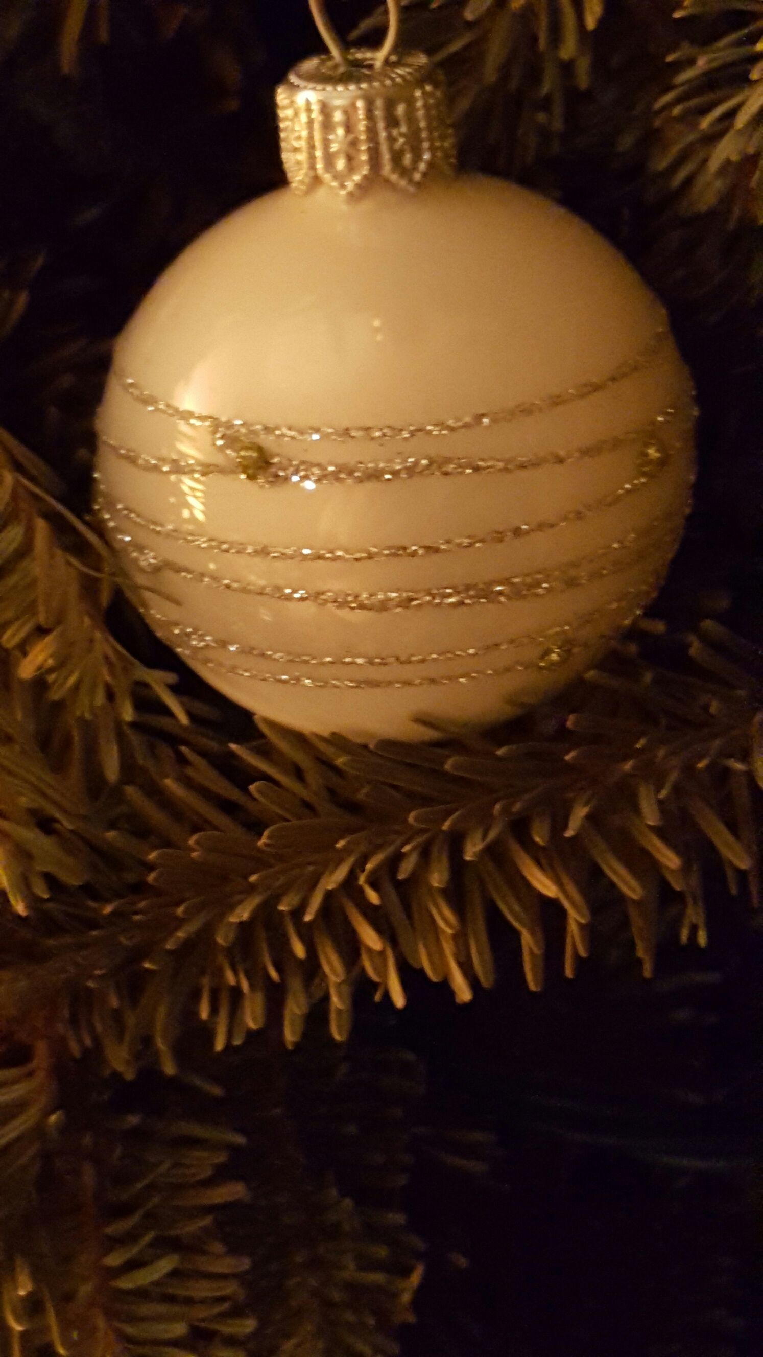 Raccoon’s Christmas