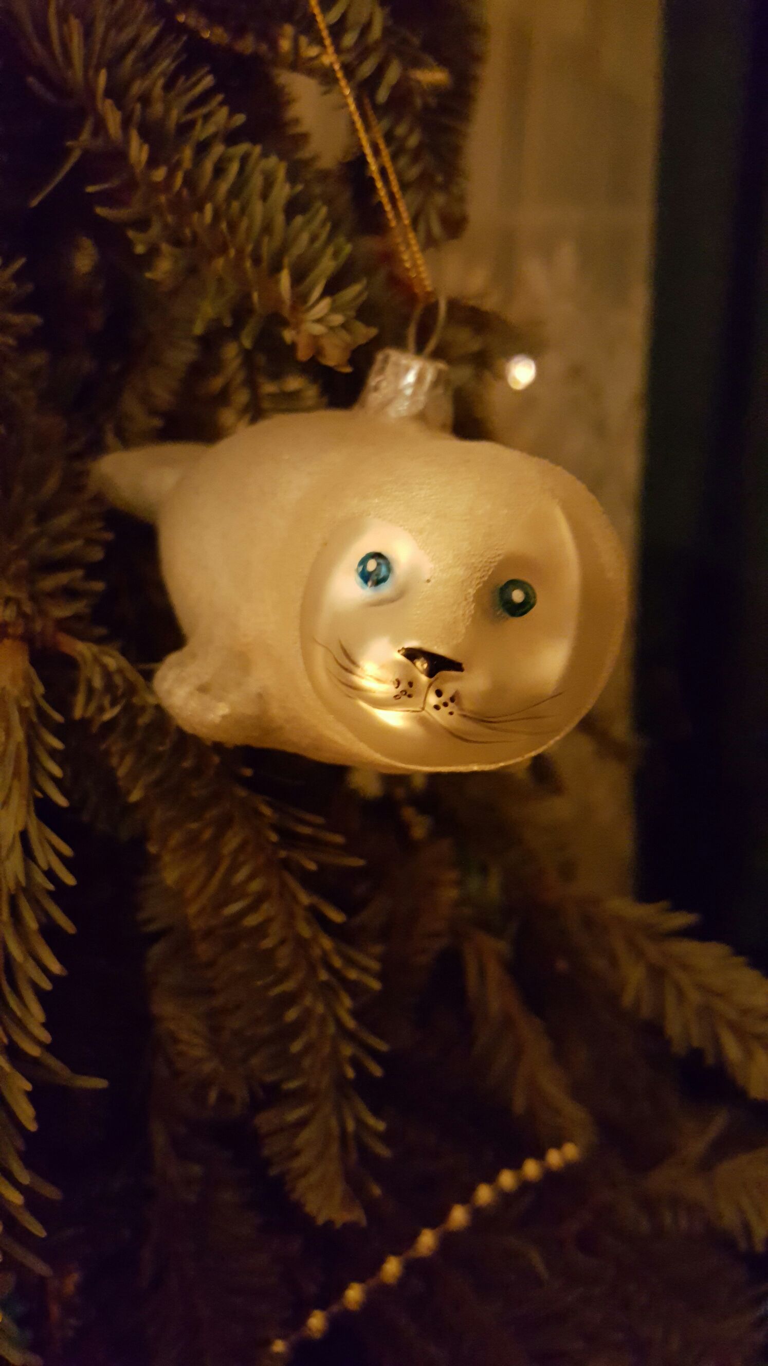 Image 13892