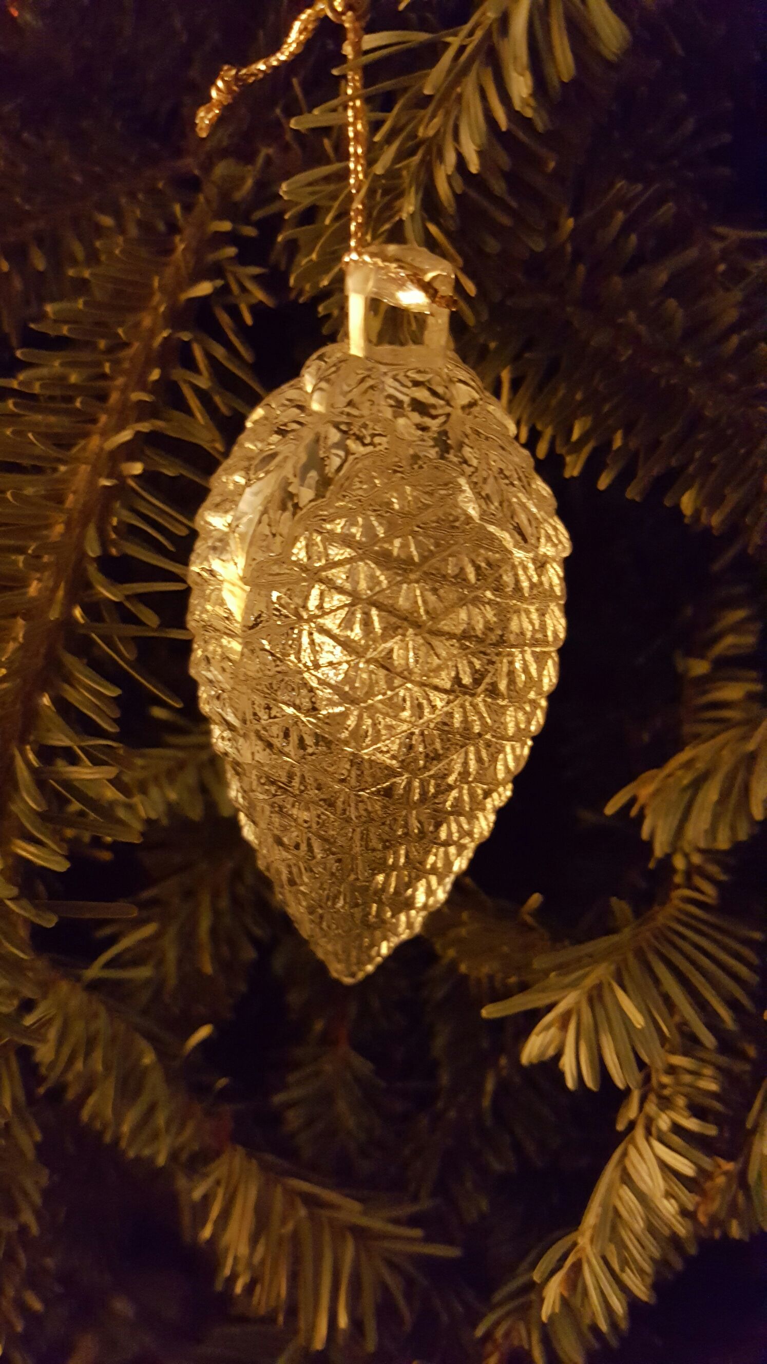 Piglet’s First Ride