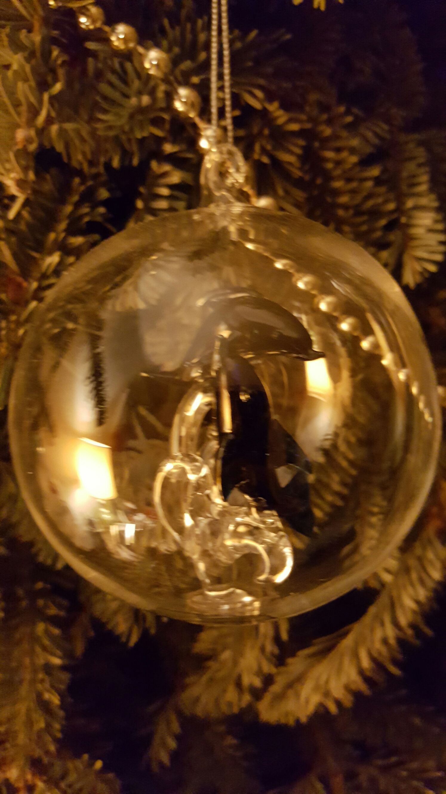 Locomotive And Tender