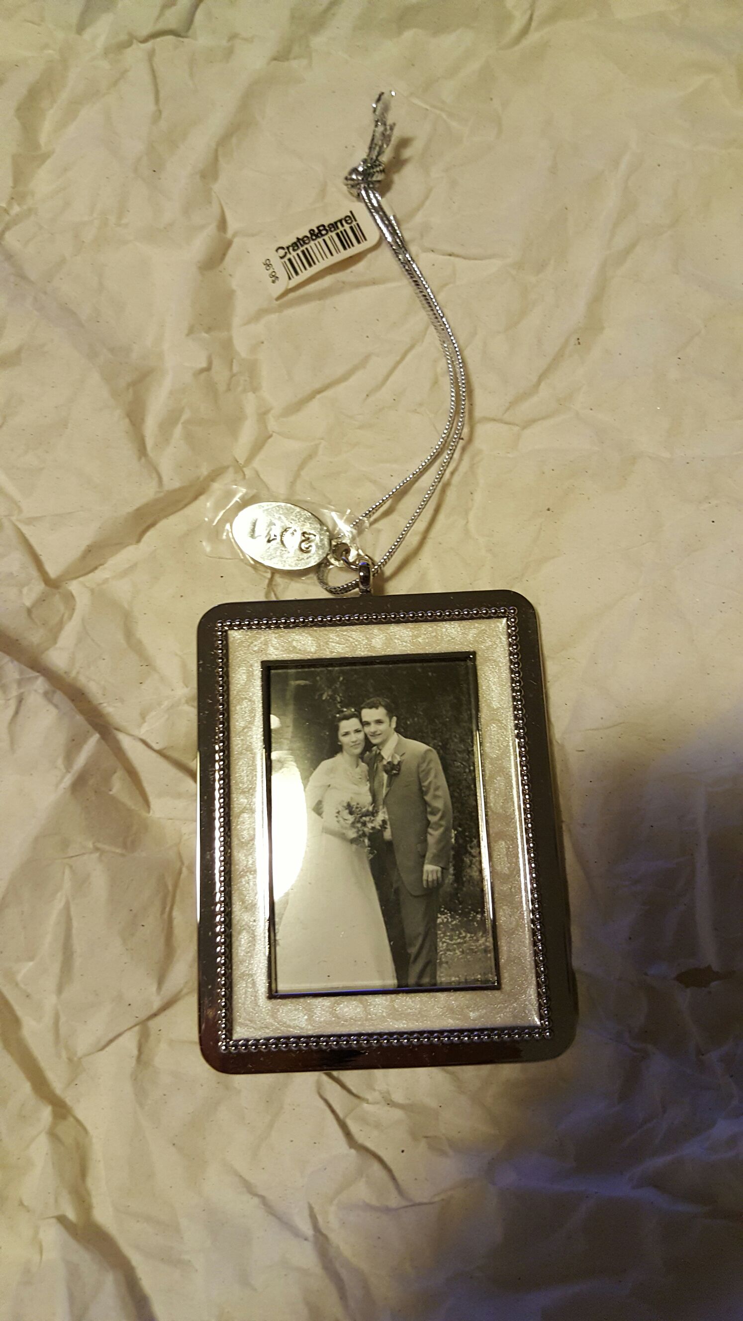 02-Antsy the Anteater Beanie Babies