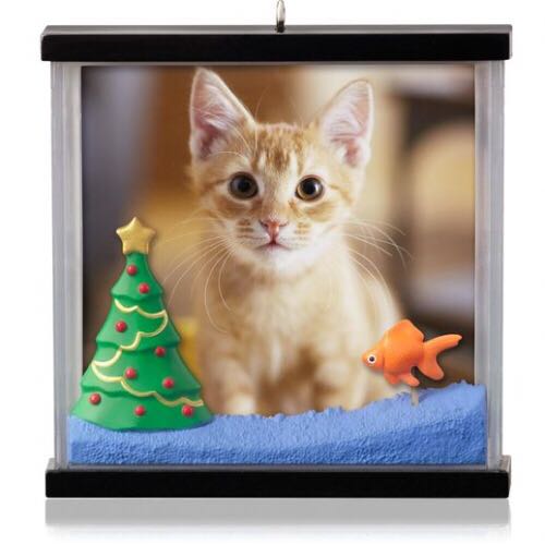 Portable Collapsable Rolling Crate with Handle