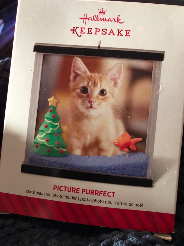 Picture Purrfect  (Hallmark Keepsake) ornament collectible - Main Image 2