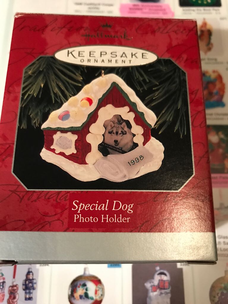 Special Dog (Keepsake Ornament) ornament collectible - Main Image 2