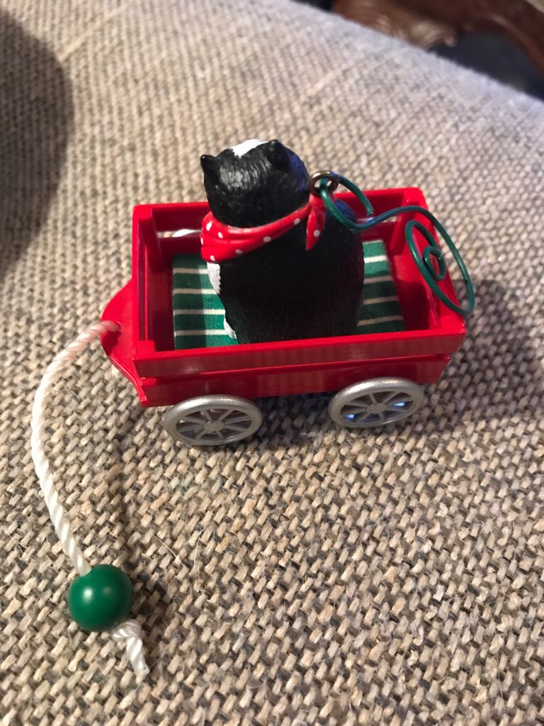 Country Cat - Cat (Country) ornament collectible - Main Image 2