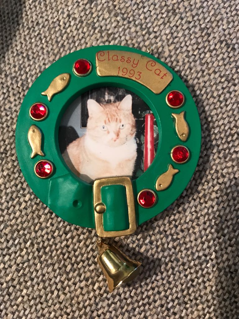 Special Cat  (Hallmark Keepsake) ornament collectible - Main Image 1