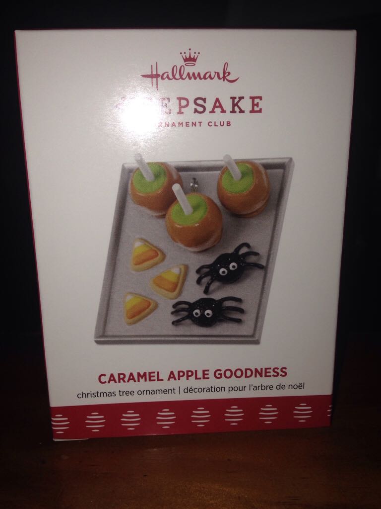 Winter Garden Ready For Sledding