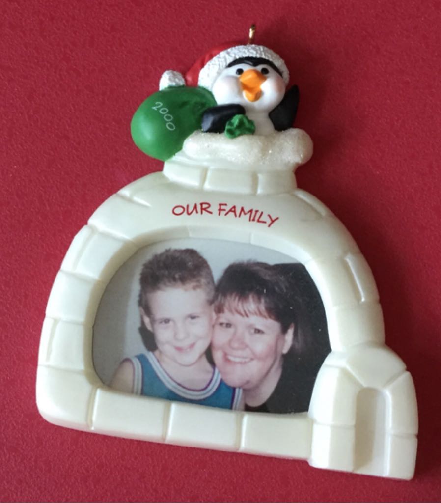 Polar Bear Plush Ornament