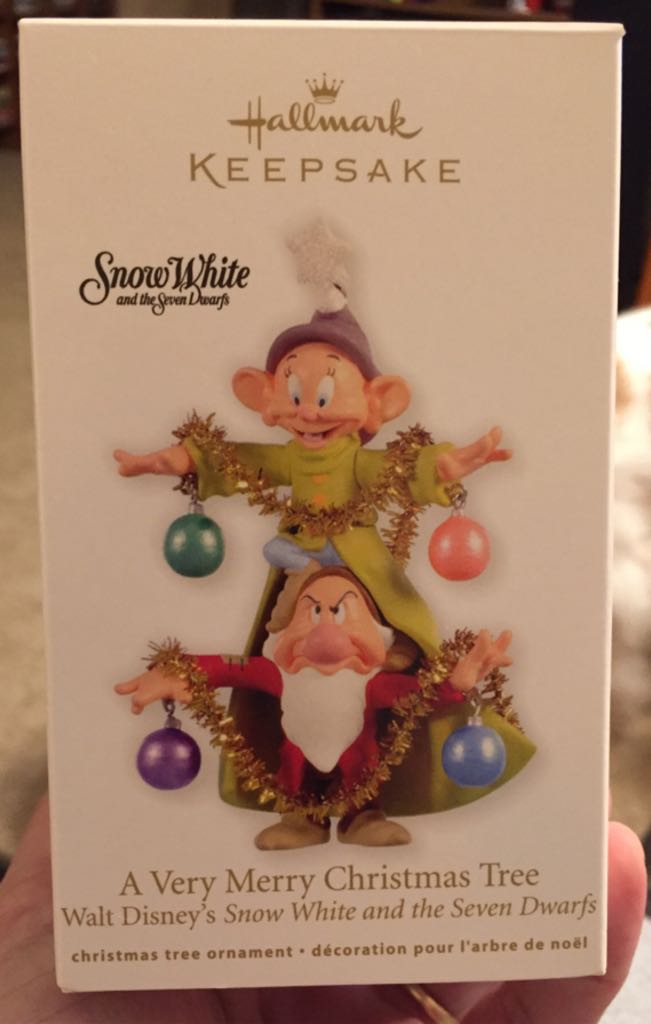 Raccoon’s Christmas