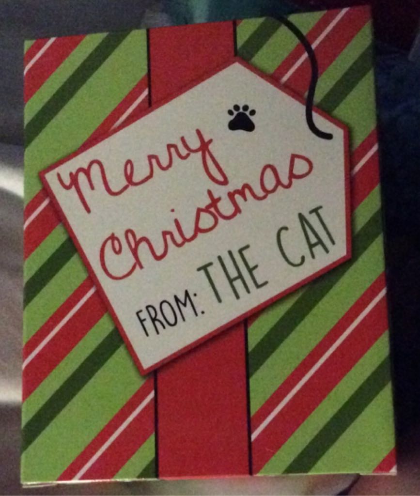 Acrylic Pierced Nation 9/16"Dice Plug Earrings