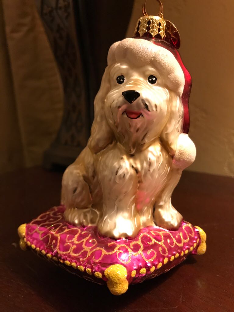 Snowball and Tuxedo 2017