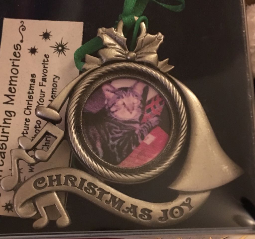 Rocking Horse #9 (1989)